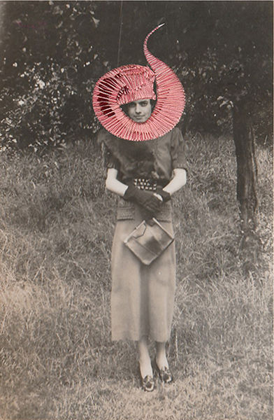 No shrinking violet