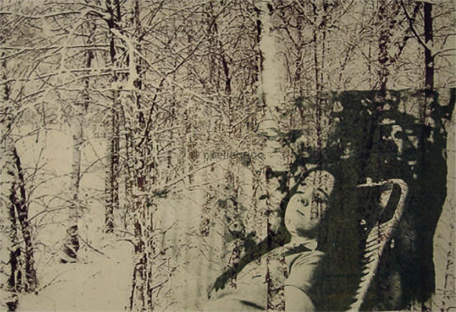 'Thinking Trees', Giclée print on Fine Art Paper
