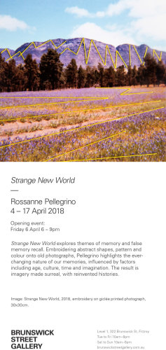 'Strange New World' an exhibition by Rossanne Pellegrino