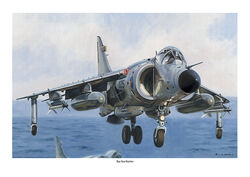 Sea Harrier in the hover about to land on an aircraft carrier deck.