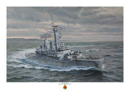 HMS Argonaut HMS Argonaut turning to port off the Falkland Islands May 1982, in a greenish sea and grey sky.