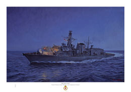 HMS Iron Duke HMS Iron Duke at night with deep blue sky firing her gun which lights the ship.