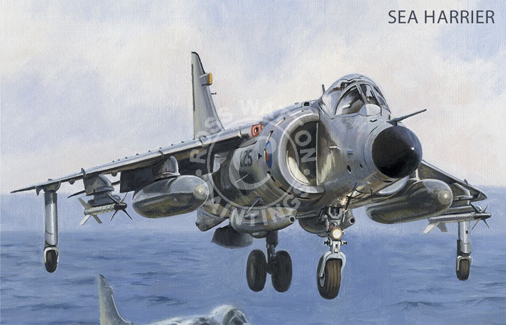 Ross Watton Ship Paintings Sea Harrier