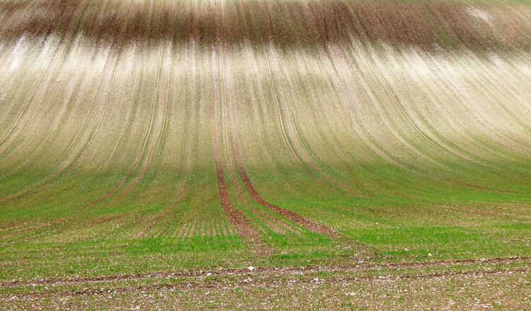 Landscape near Sparsholt 1