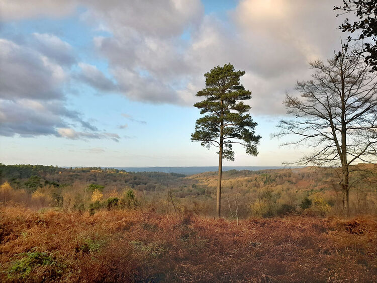 The Devil's Punchbowl