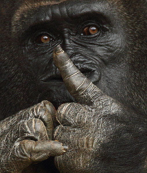 M127 Gorilla