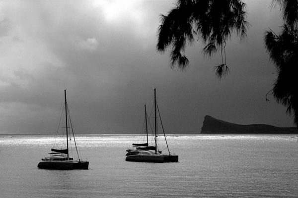 N113 Mauritius
