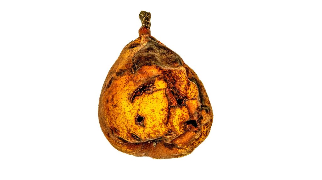 C2
