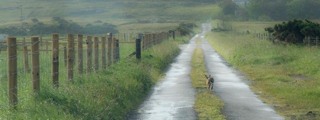 D14