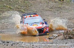 Thierry Neuville
