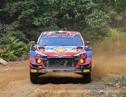Thierry Neuville