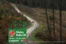 Rally GB 2007