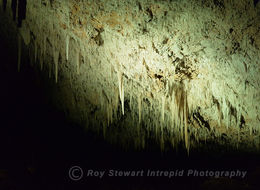 Jewel Cave, Margaret River, Western Australia