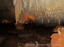 Jewel Cave, Margaret River, Western Australia