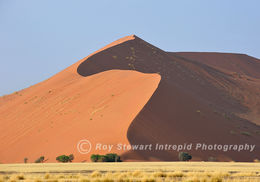 Namib Desert, Namibia