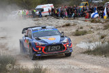 Thierry Neuville