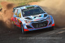Hayden Paddon