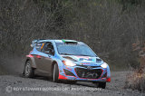 Hayden Paddon