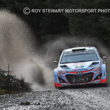 Hayden Paddon