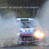 Hayden Paddon