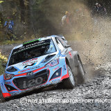 Hayden Paddon