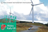 Rally GB 2015