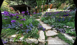 Chelsea Flower Show