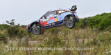 Thierry Neuville