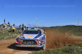 Hayden Paddon