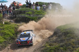 Hayden Paddon