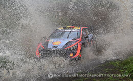 Thierry Neuville