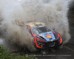 Thierry Neuville