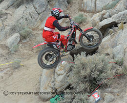 The Battle Born Trial