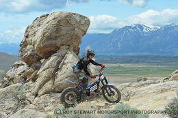 The Battle Born Trial