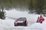 Thierry Neuville