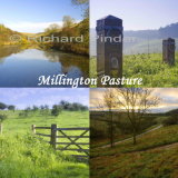 Millington Pasture