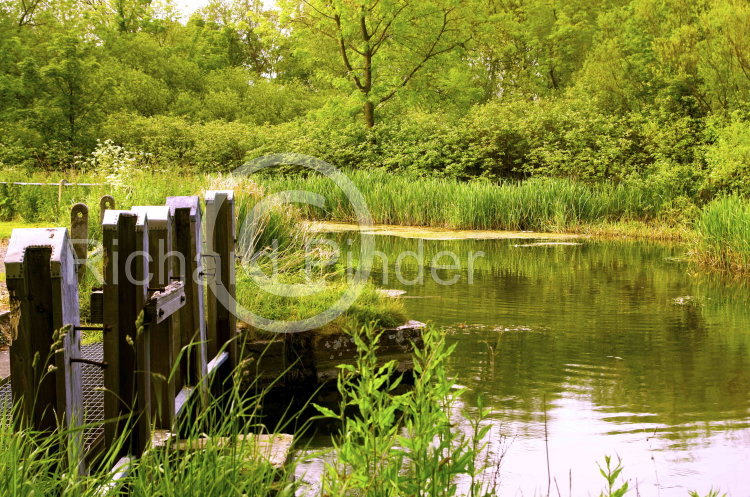 The Sluice at Bell Mills