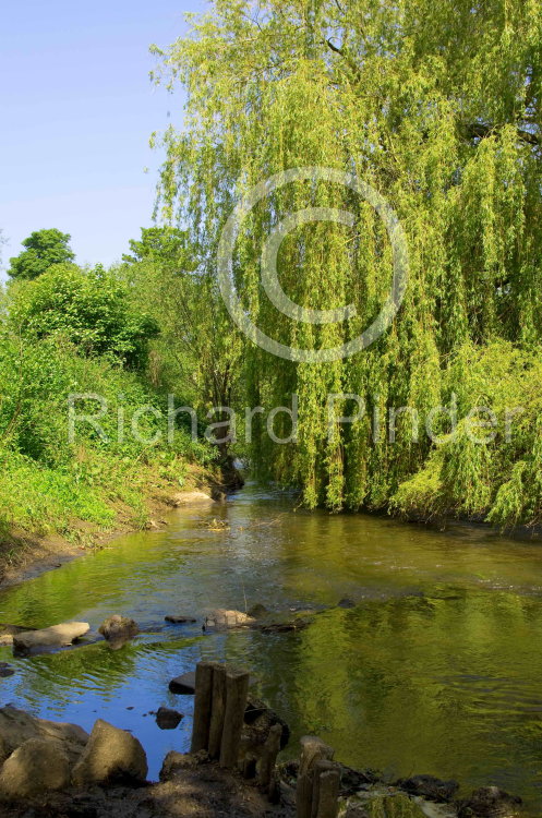 The Mill Race, Stamford Bridge