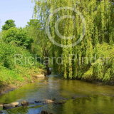 The Mill Race, Stamford Bridge