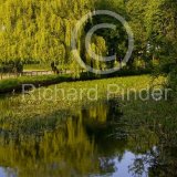 Bell Mills, Driffield