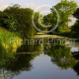 Driffield Canal, Wansford