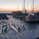 Low Tide at Bridlington Harbour