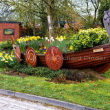 Stamford Bridge Viking Boat