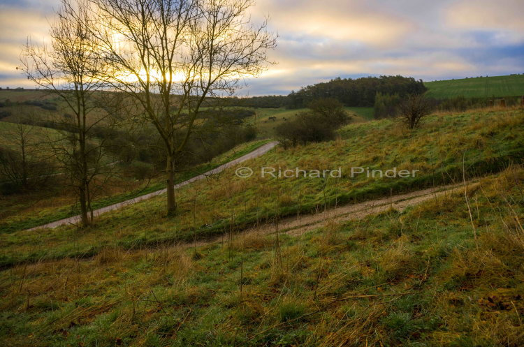 Early Morning Millington Pasture