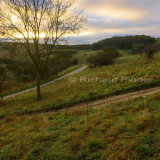 Early Morning Millington Pasture