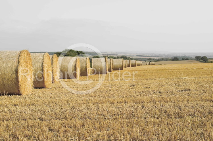 Straw Bales on the East Yorkshire Wolds