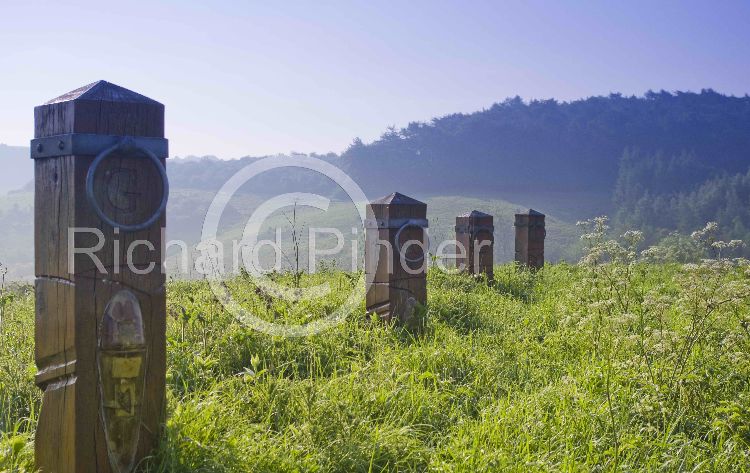 Horse Posts, Millington Pastures