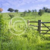 Bridle Path, Millington