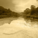 Millington Ponds