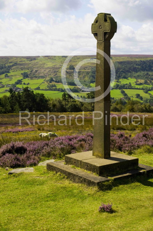 Rosedale Millenium Cross